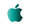 Apple icon